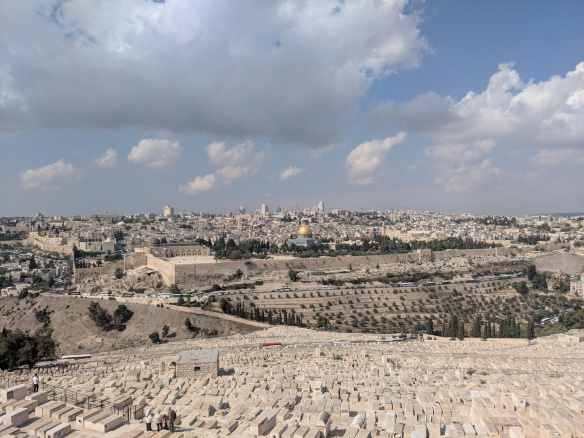 MVIMG_20191024_112829