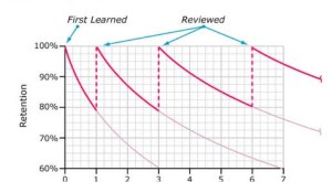 forgetting curve