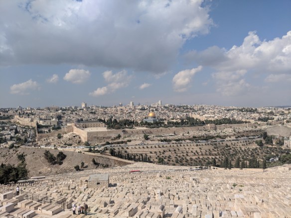 MVIMG_20191024_112829